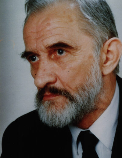 Stefan Ambroz 1990-1994